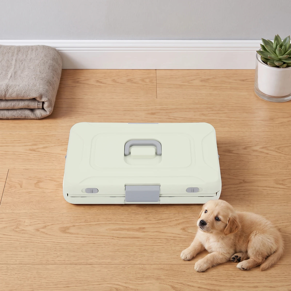 Foldable Travel Pet Carrier For Small Dogs And Cats
