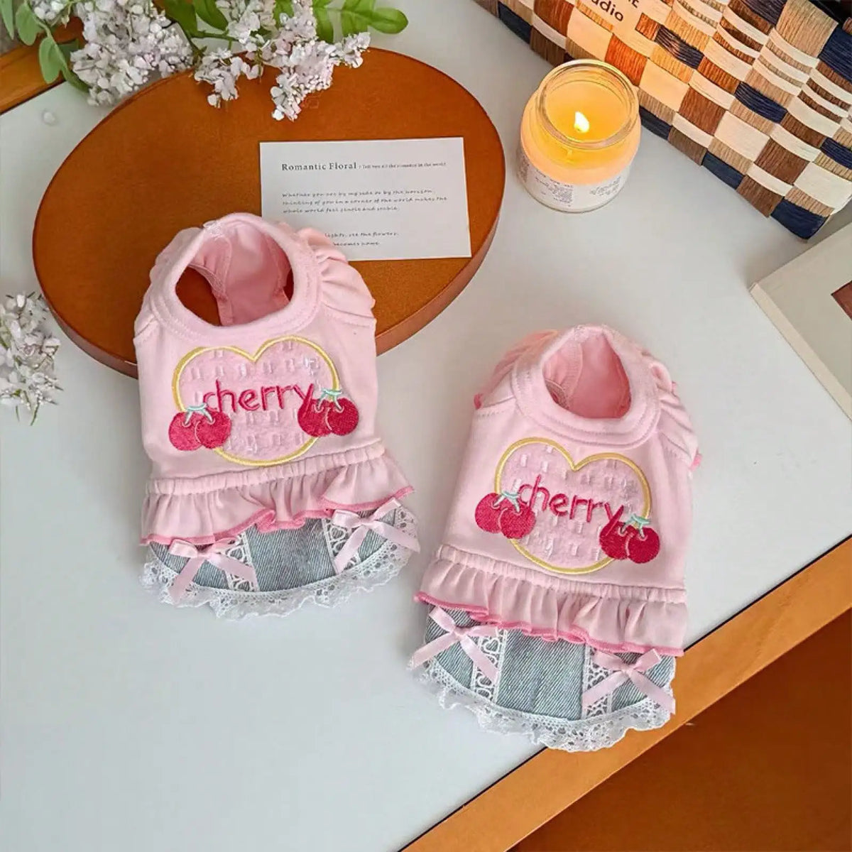 Stylish Denim Skirt Vest Set For Pets Spring Walking Outfit