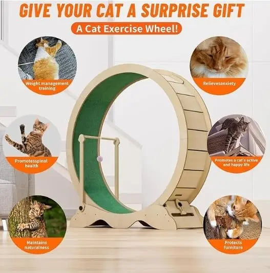 Garvee Indoor Cat Exercise Wheel For Daily Fitness And Play