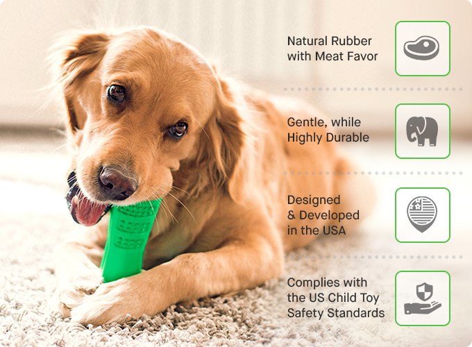 Silicone Dog Toothbrush Chew Toy