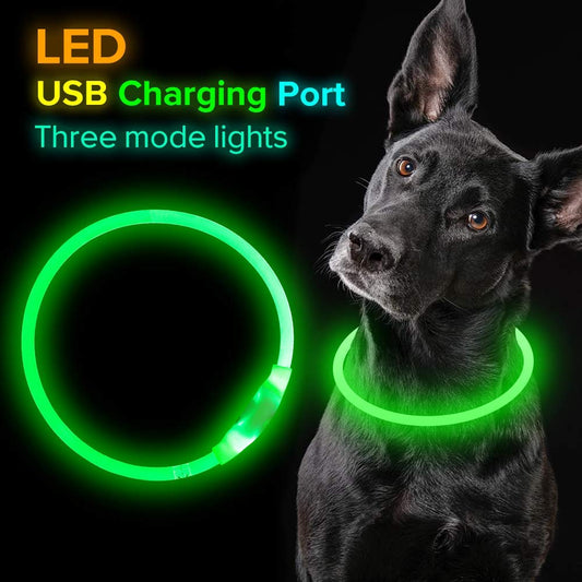LED Dog Collar Lights up the Night