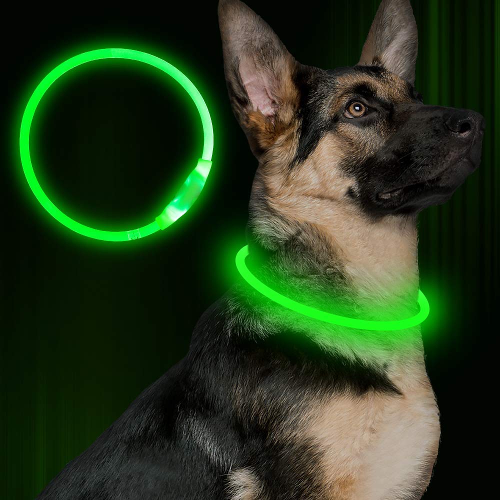 LED Dog Collar Lights up the Night